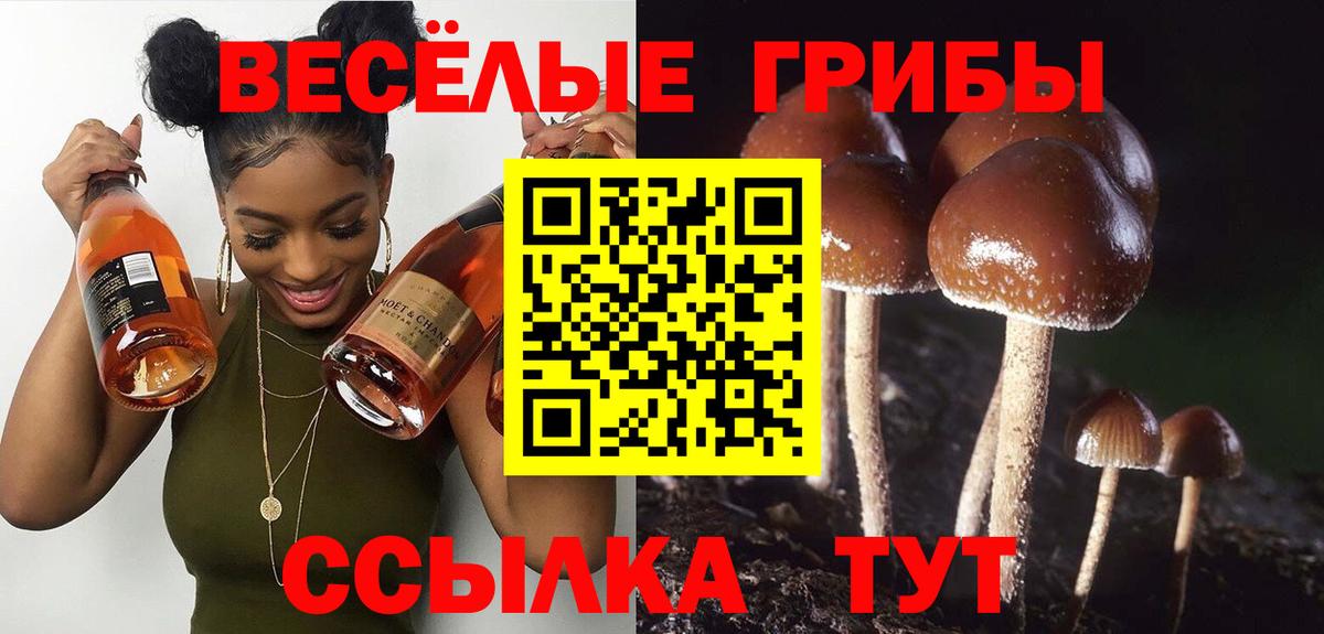 Верхняя Салда  Псилоцибиновые грибы MAGIC MUSHROOMS  Вход с VPN 